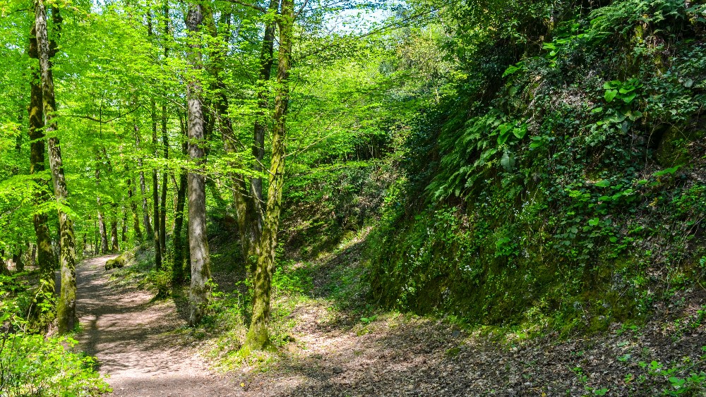 Yalova’da Doğa Yürüyüş Rotaları: Keşfedilmeyi Bekleyen Güzellikler