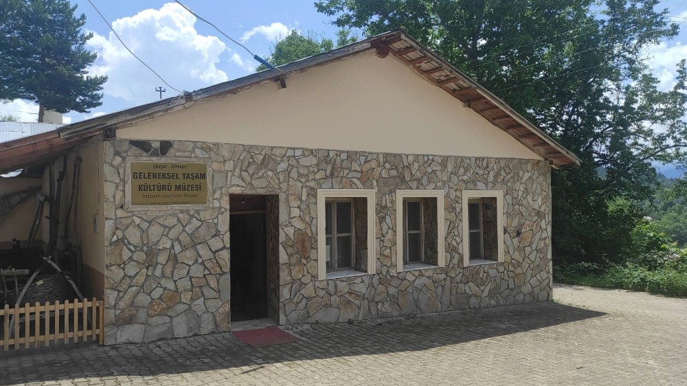 Antik Dönemde Artvin ve Çevresi: Tarih ve Doğanın Buluştuğu Eşsiz Bir Destinasyon