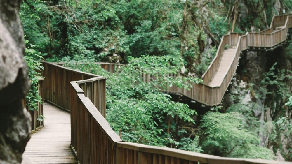 Kastamonu Gezi Rehberi: Tarih, Doğa ve Kültürün Buluşma Noktası