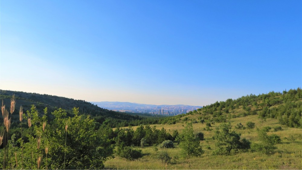 Ankara’da Gezilecek En Güzel Parklar: Doğanın Kalbinde Bir Kaçamak