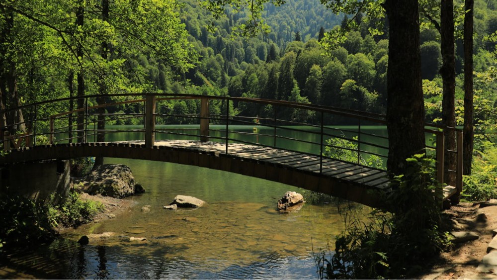 Artvin: Doğanın Kalbinde Keşfedilecek En Güzel Yerler