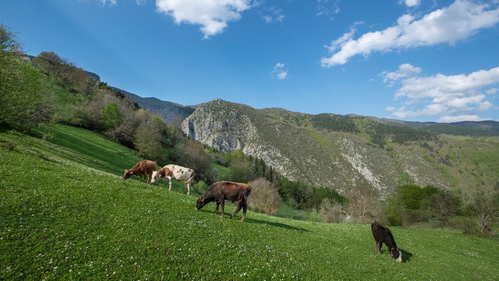 Kastamonu’da Doğa Yürüyüş Rotaları: Keşfedilmeyi Bekleyen Güzellikler