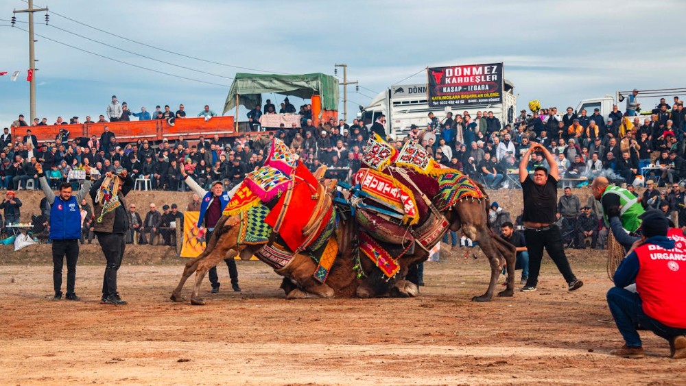 İzmir’in Renkli Festival ve Etkinlikleri: Yıl Boyunca Keşfedilecek Bir Destinasyon