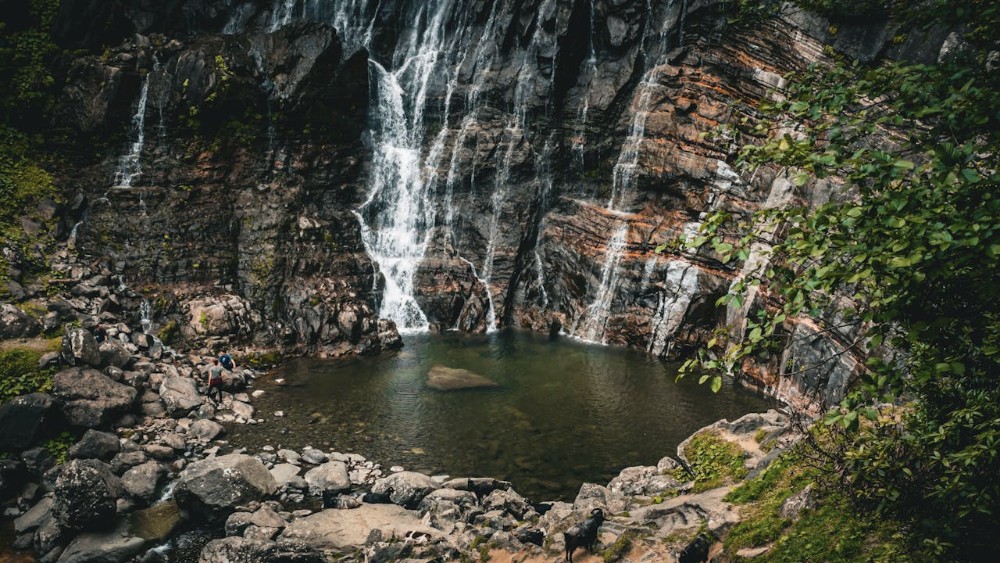 Artvin’in Doğal Güzellikleri: Dağlar, Vadiler ve Ormanlarla Dolu Bir Cennet