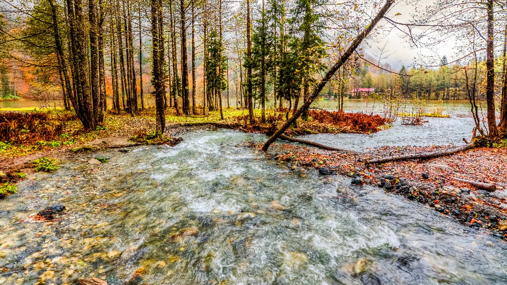 Artvin’de Kültür ve Sanat Hayatını Keşfedin: Doğanın ve Tarihin Buluşma Noktası
