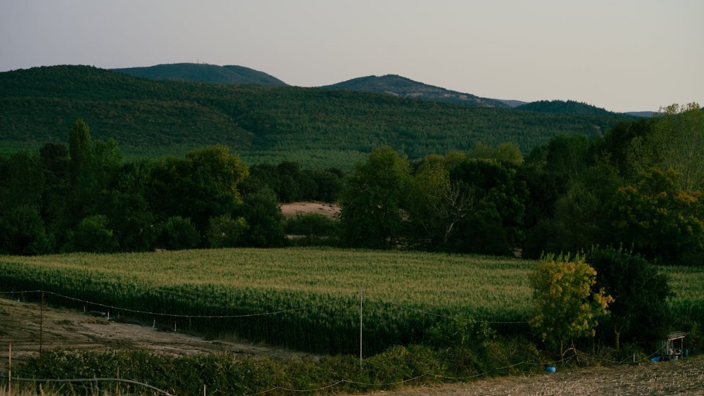 Kaz Dağları ve Çanakkale: Doğa Turizminin Cenneti