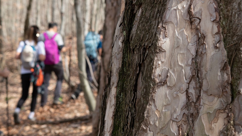 Yalova’da Kültür ve Sanat Hayatını Keşfedin: Sanatın ve Tarihin Buluşma Noktası