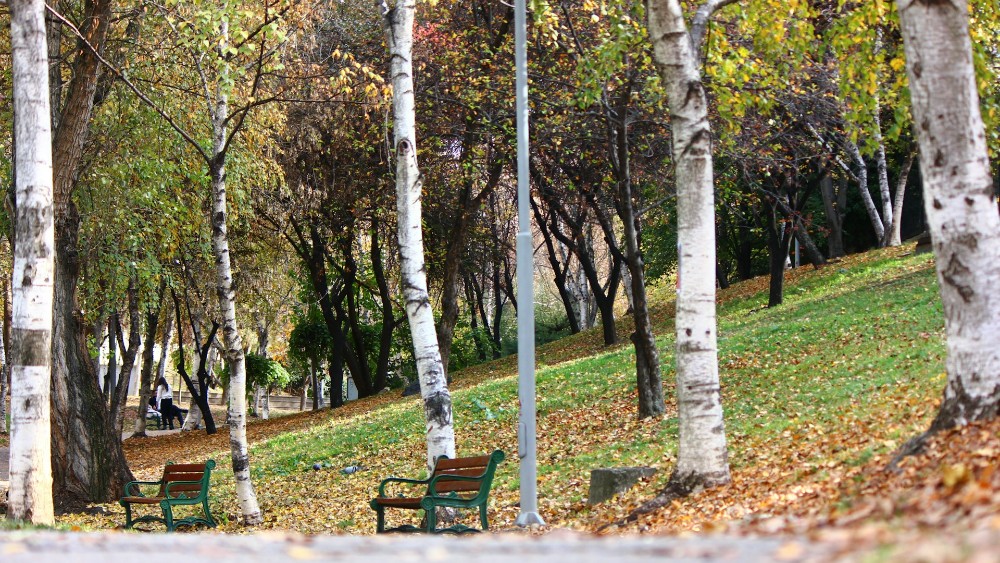 Ankara’da Ekoturizm: Doğayla İç İçe Sürdürülebilir Bir Seyahat Deneyimi