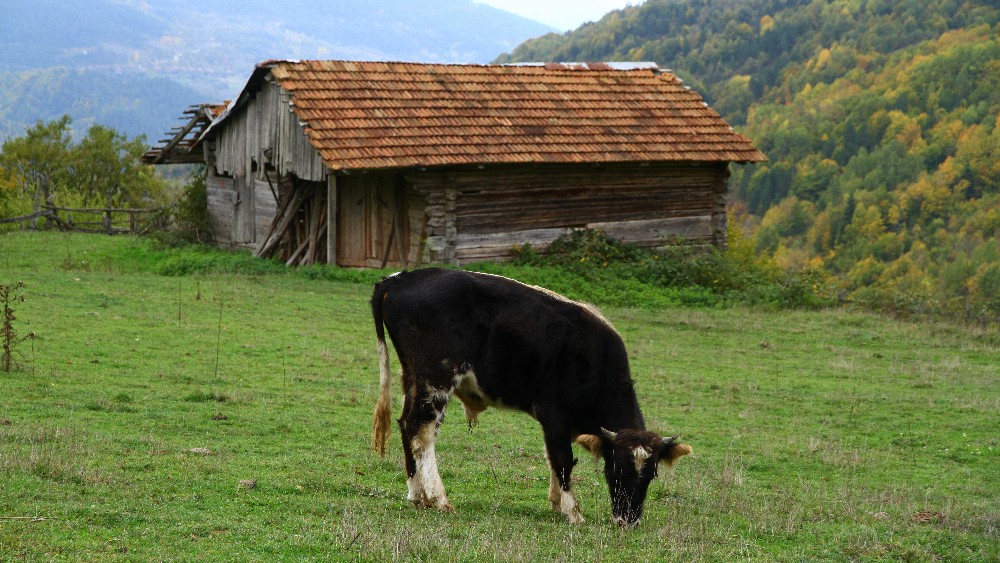 Kastamonu’da Doğa ile İç İçe Kamp ve Karavan Alanları: Keşfetmeye Hazır Bir Cennet