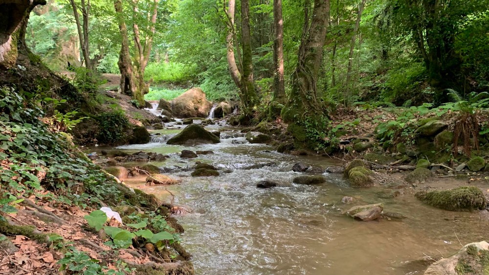Yalova Gezi Rehberi: Doğanın ve Tarihin Buluştuğu Şehir