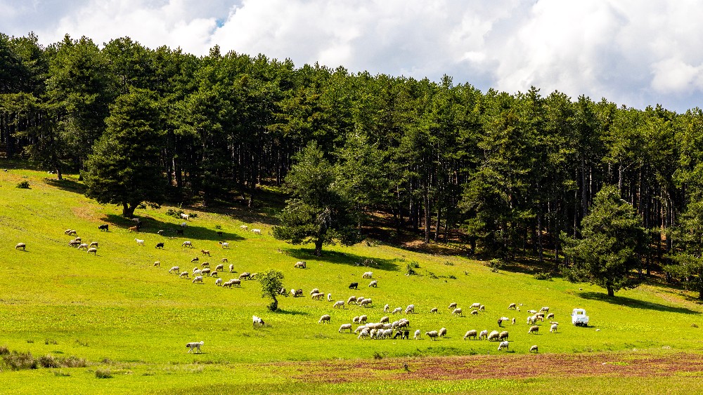 Bursa’da Doğa Yürüyüş Rotaları: Keşfedilmeyi Bekleyen Güzellikler