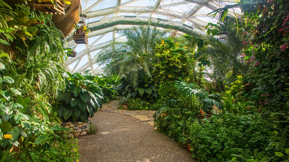 Konya’da Aile Tatili: Kültürel Zenginlikler ve Eğlenceli Aktiviteler