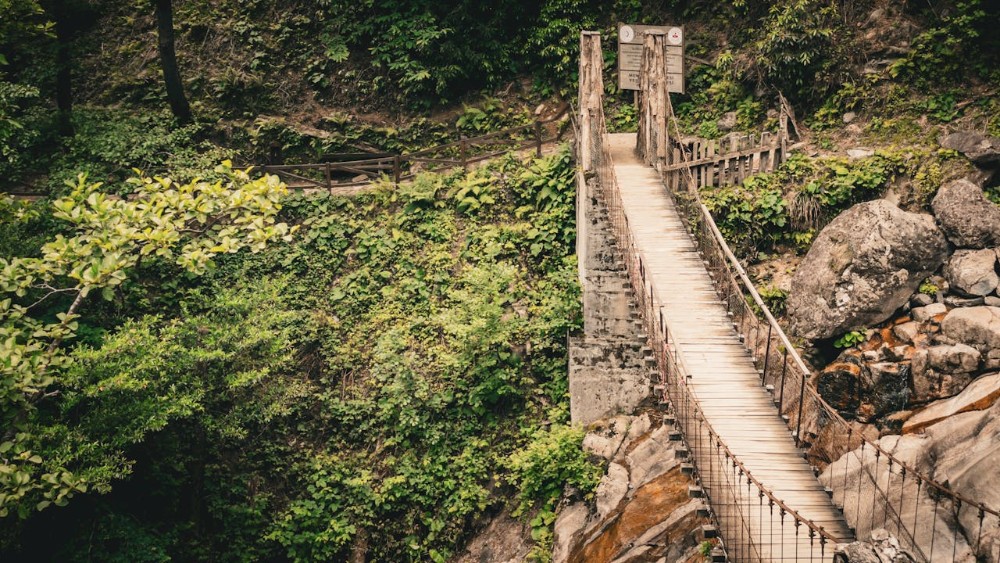 Artvin’de Doğa Yürüyüş Rotaları: Keşfedilmeyi Bekleyen Güzellikler