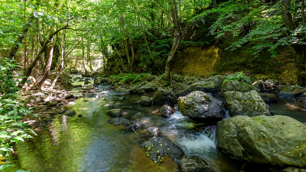 Yalova’da Ekoturizm: Sürdürülebilir Doğa Deneyimi