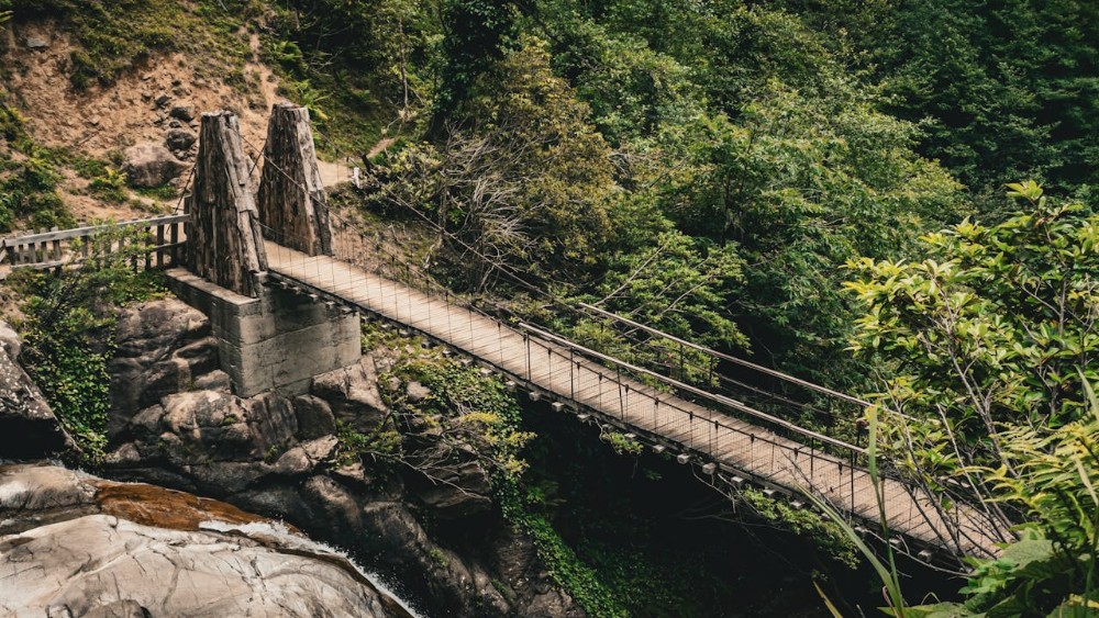 Artvin’de Doğa ve Macera Turizmi: Raftingden Yürüyüşe, Keşfedilecek Her Şey