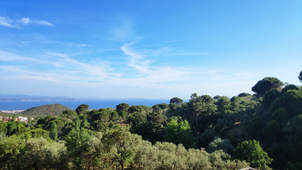 Kaz Dağları ve Balıkesir: Doğa Turizminin Cenneti