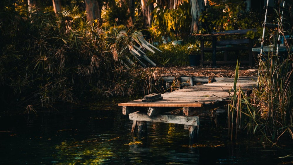 Muğla’nın Milli Parkları: Doğanın Kalbinde Keşif