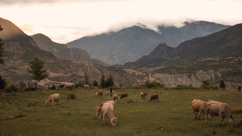 Artvin Yaylaları: Şavşat ve Çevresinin Doğal Güzellikleri
