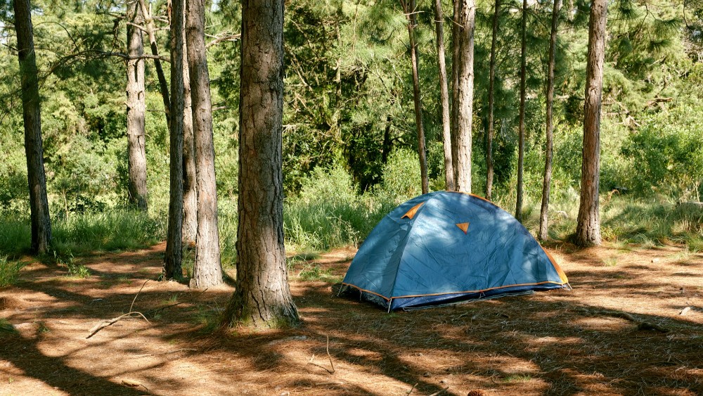 Muğla’da Ekoturizm: Sürdürülebilir Doğa Deneyimi