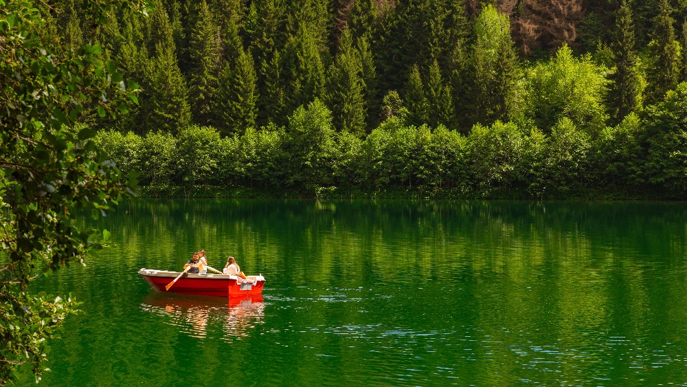 Artvin’in Festival ve Etkinlikleri: Doğanın ve Kültürün Buluşma Noktası