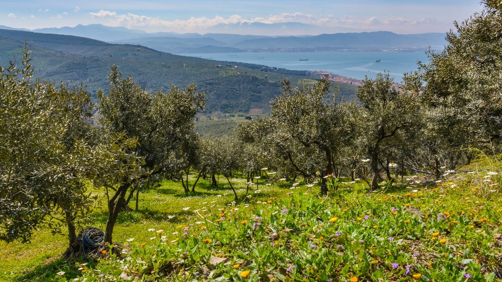 Bursa’nın Doğal Güzellikleri: Uludağ ve Çevresindeki Cennet