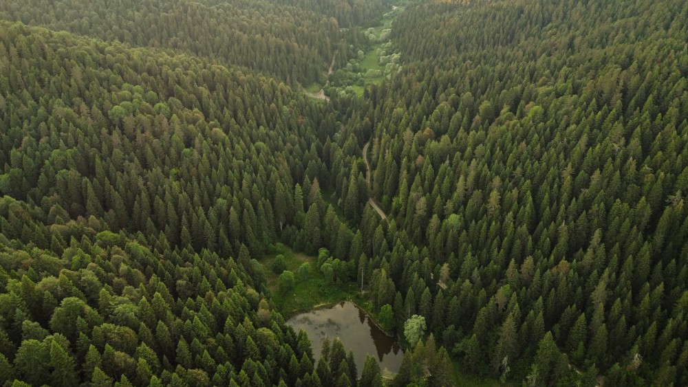 Karabük’te Mevsime Göre Tatil: Her Mevsim Farklı Bir Deneyim