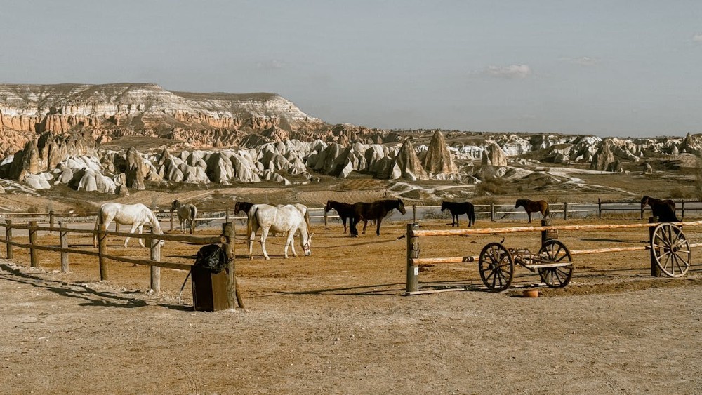 Nevşehir’de Günlük Gezi Rotaları: Kapadokya’nın Büyüleyici Güzelliklerini Keşfedin