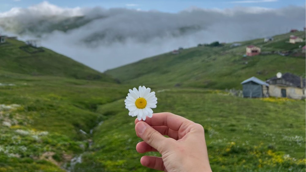 Trabzon Gezi Rehberi: Doğu Karadeniz'in Gizli Cenneti