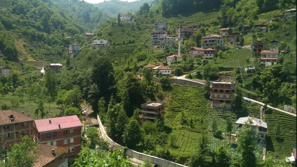 Rize’de Ekoturizm: Doğanın Kalbinde Sürdürülebilir Bir Seyahat Deneyimi