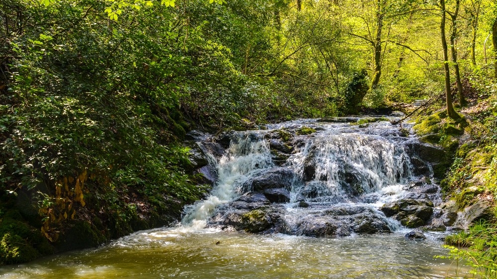 Yalova’da Dört Mevsim Turizm: Her Mevsim Keşfedilecek Güzellikler