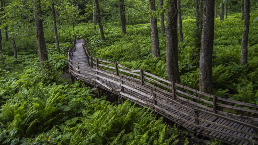 Artvin’de Unutulmaz Bir Tatil Planı Nasıl Yapılır?