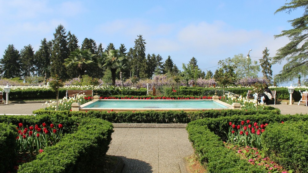 Trabzon’da Aile Tatili: Doğanın ve Kültürün Buluştuğu Eşsiz Bir Destinasyon